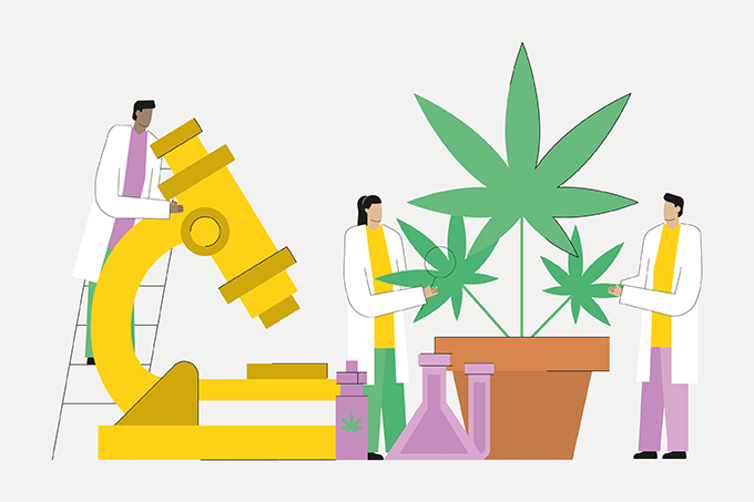 Three Gurus of Cannabis Analysis