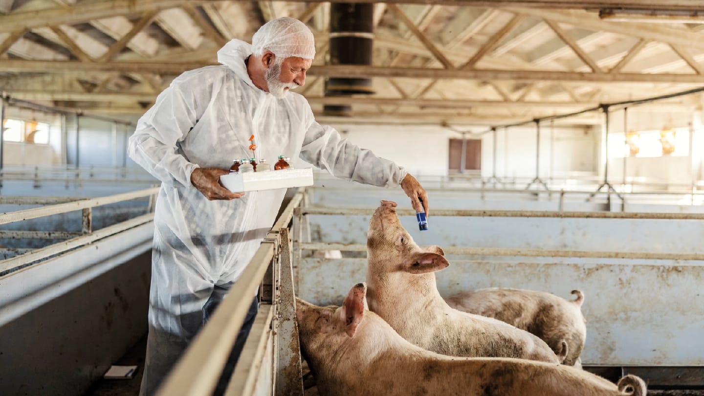 Not Just Humans Chronic Disease Is Surging in Animals Worldwide