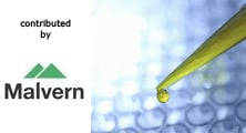 Polyol-induced increases in thermal stability of antibodies by DSC