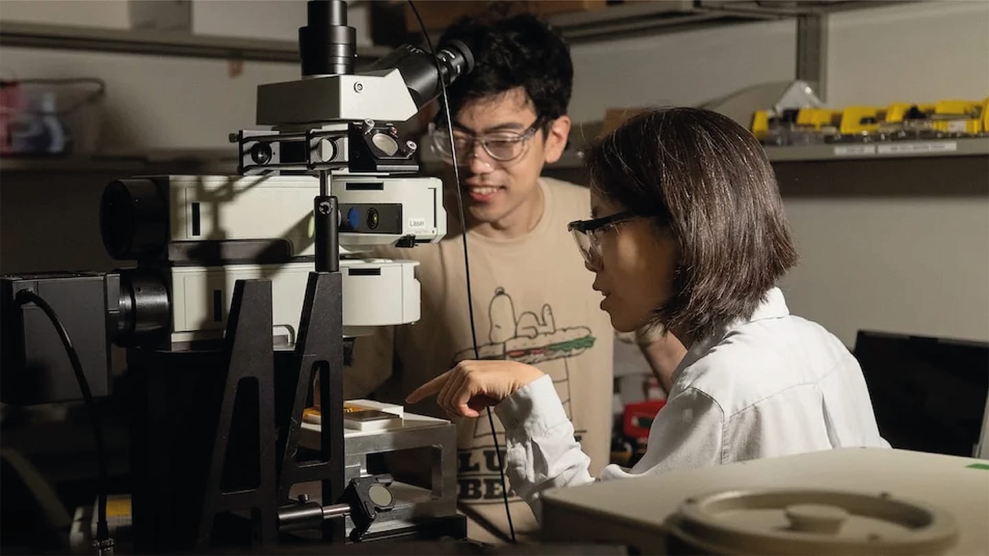 Machine Learning Brings Clarity to Spectral Data