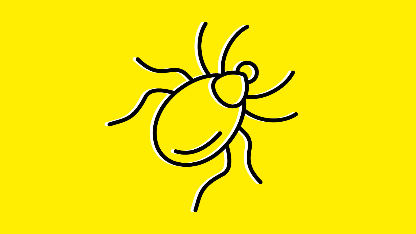 Lyme Antibodies May Improve Test Timing