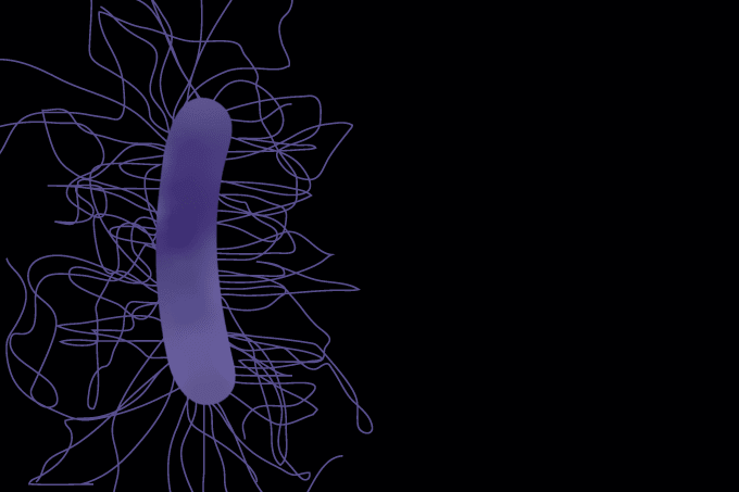 C. difficile, But Not Impossible