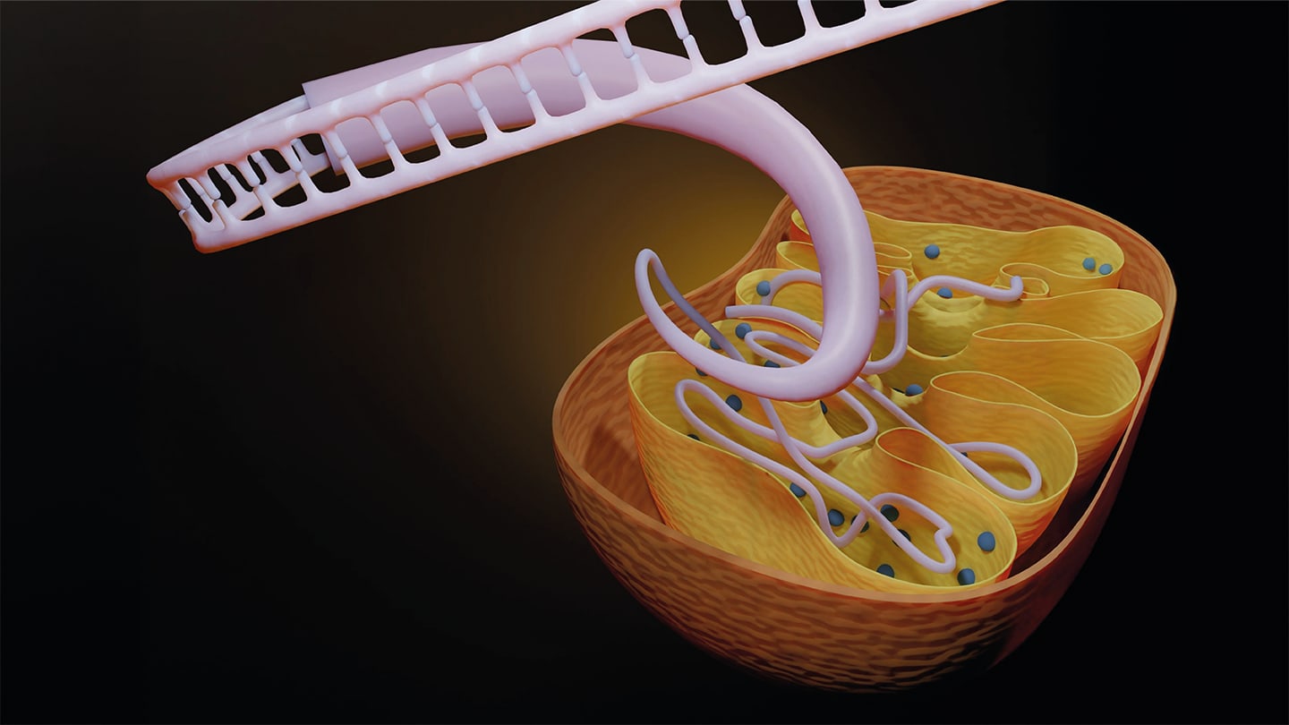 Mitochondrial RNA Linked to SjD Activity