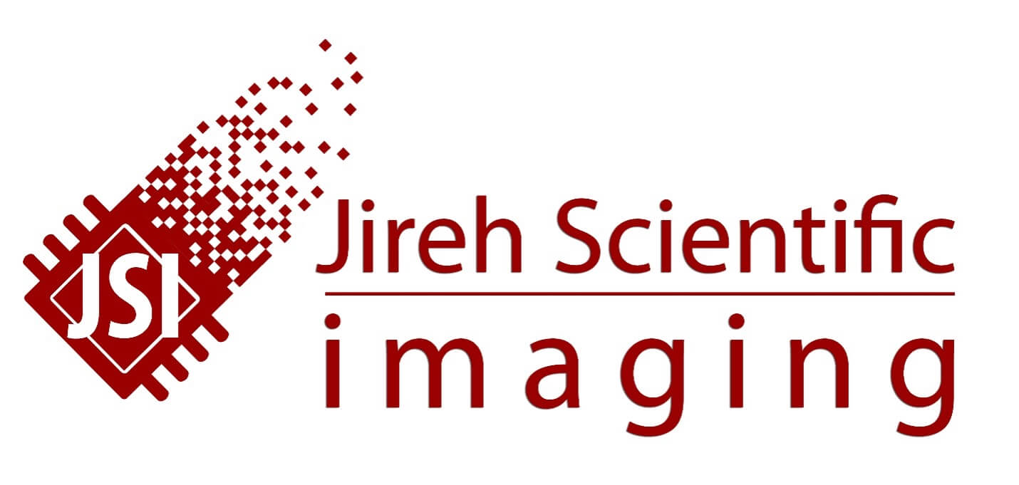 Affordable Cameras for Professional Performance