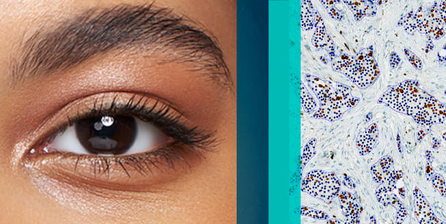 Explore Agilents open and scalable digital pathology solutions