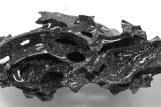 Volcanic Vitrification of Brain Matter