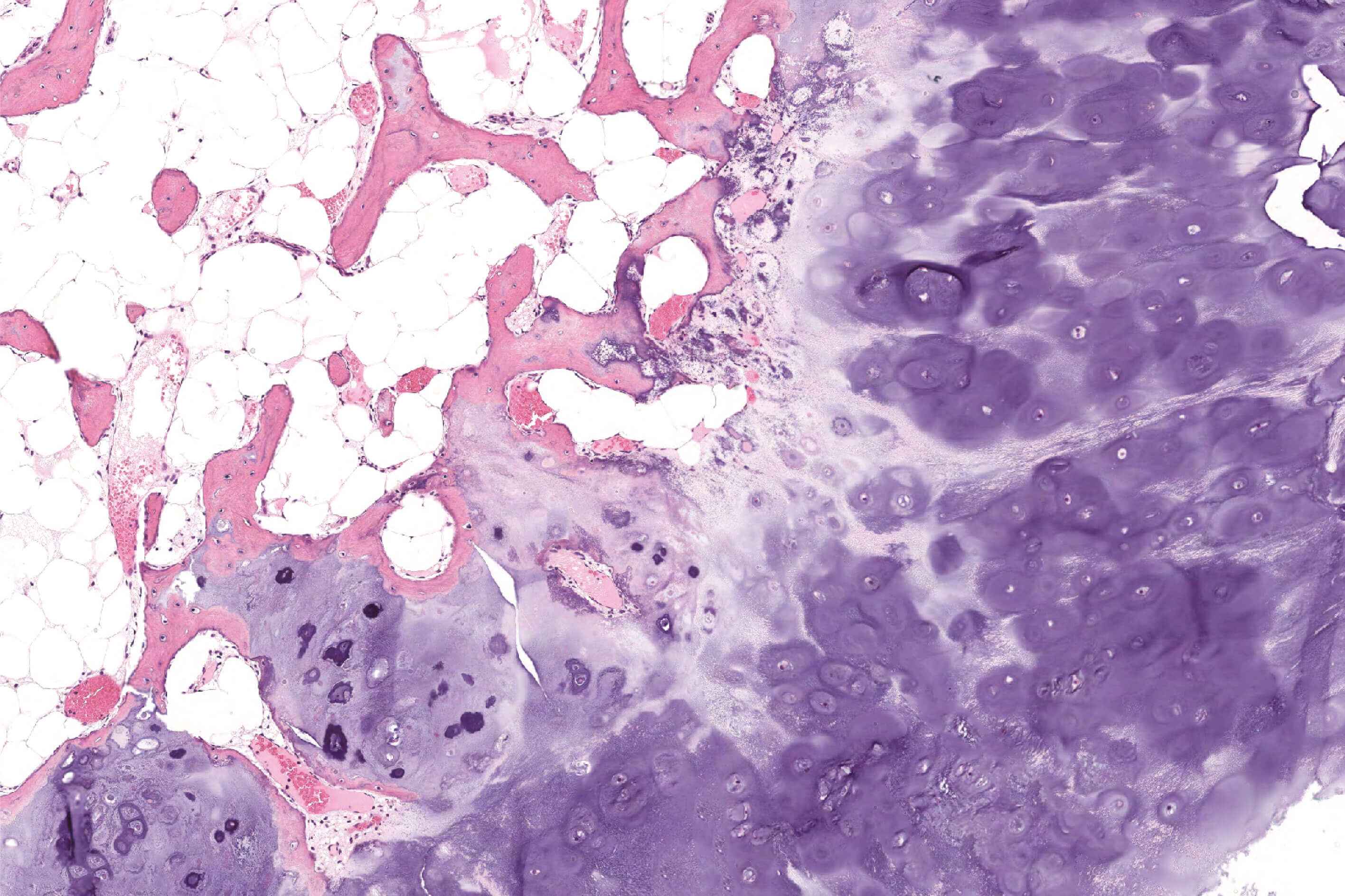 Case of the Month (1)