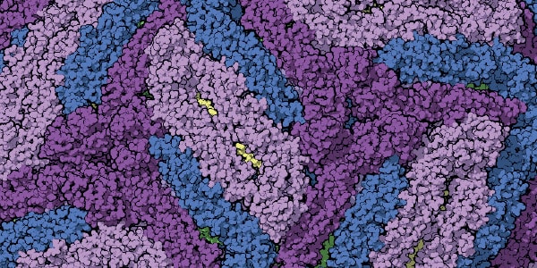 Putting Zika to the Test