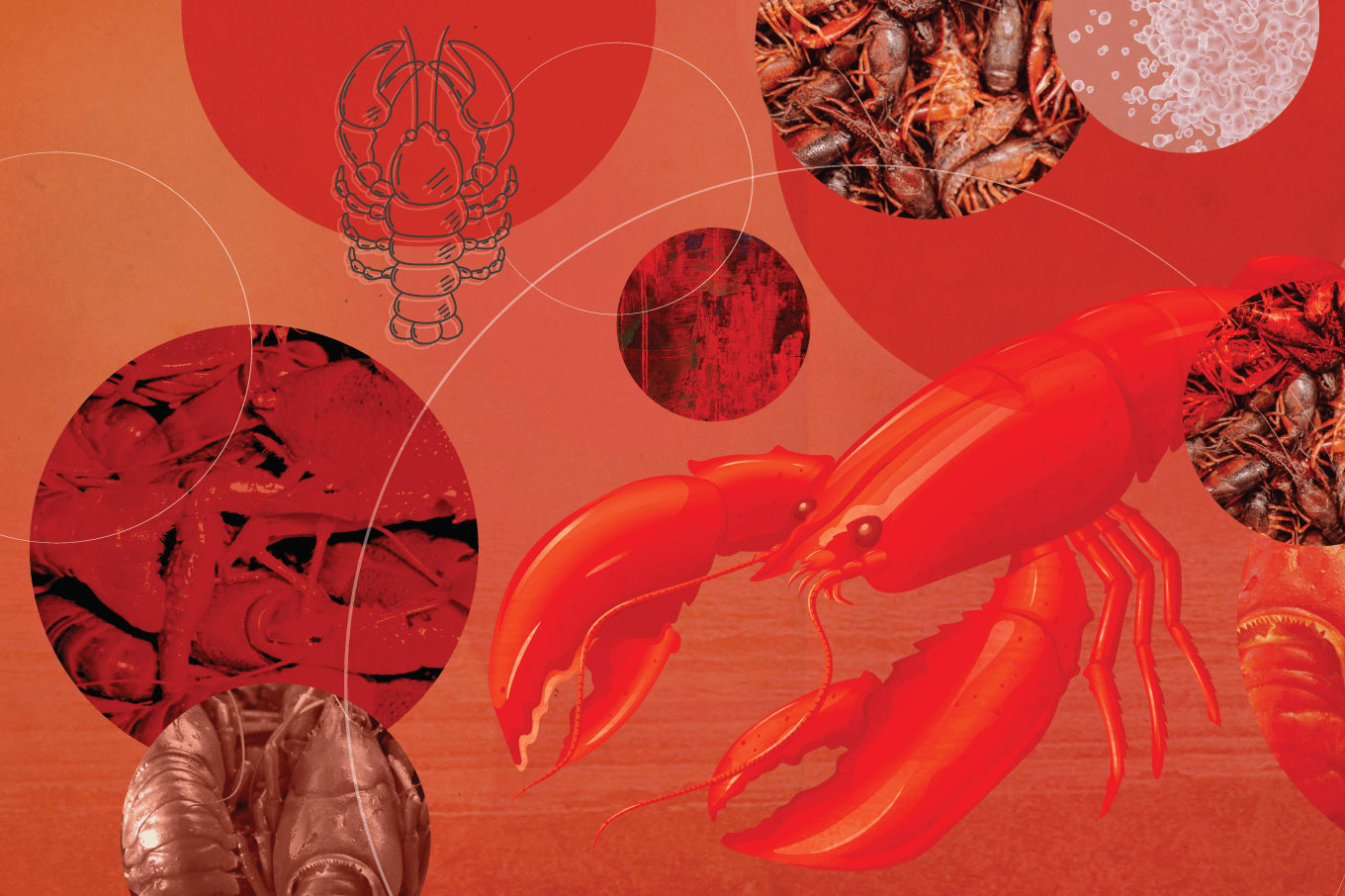 The Promise of eMetabolomics