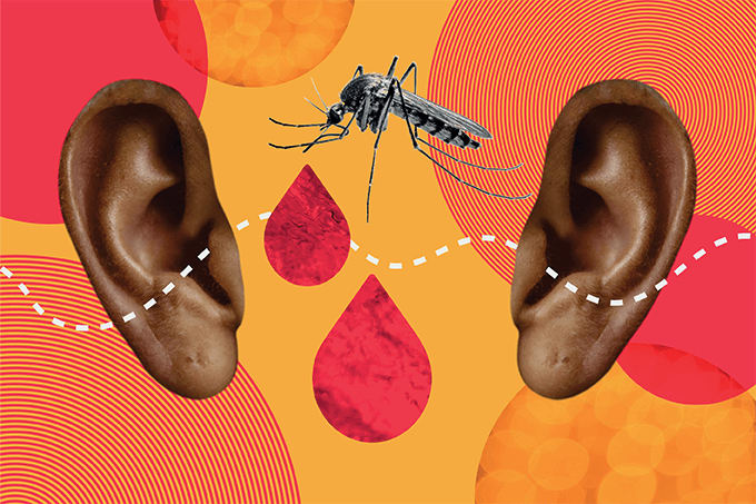 In One Ear, Out the Other