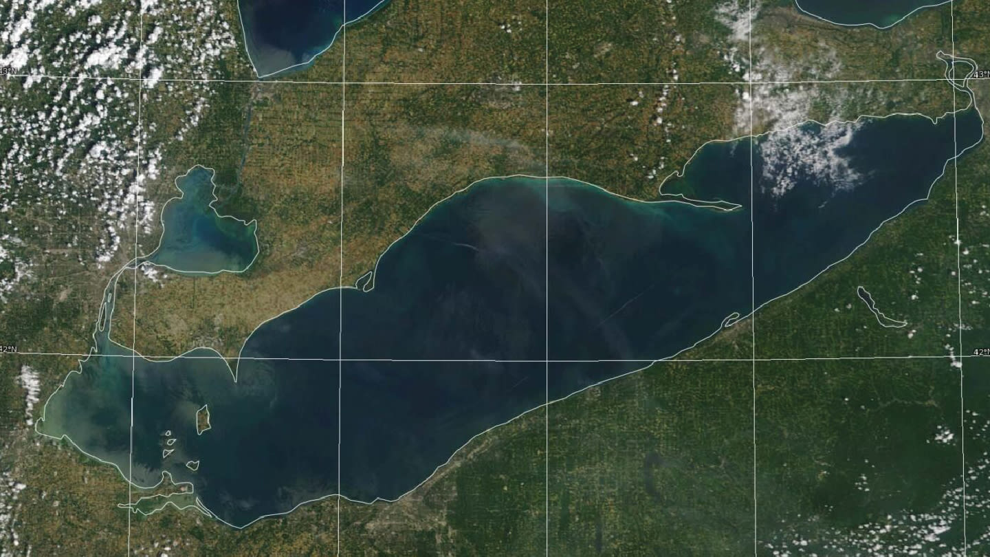 GenomicsStudy Unmasks Lake Eries Saxitoxin Source