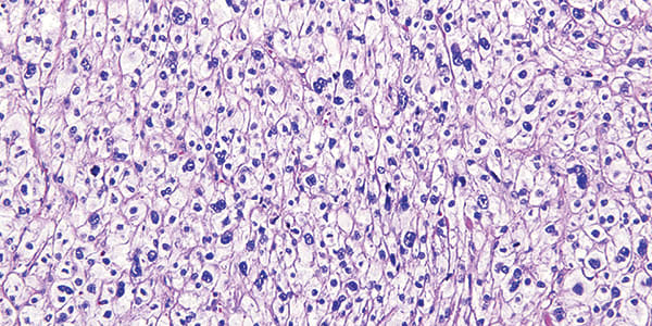 Case of the Month (1)