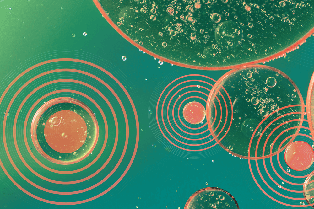 A Spatial Biology Startup Guide – Part 1