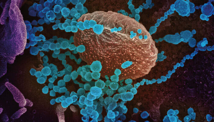A Molecular Advantage