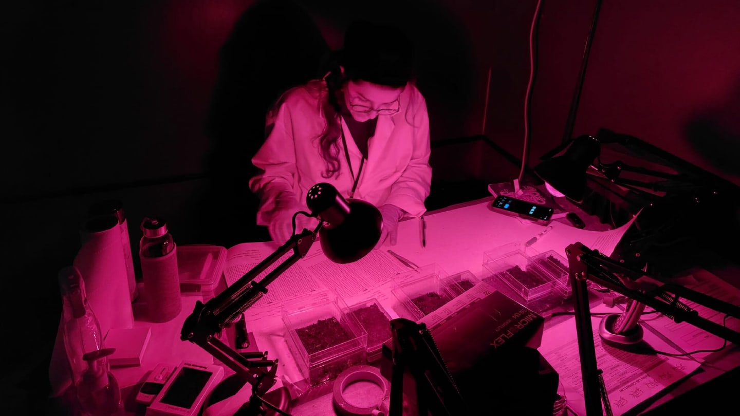 Mass Spec Roundup: Signals Recovered 