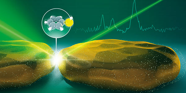 Gurus of Raman Spectroscopy