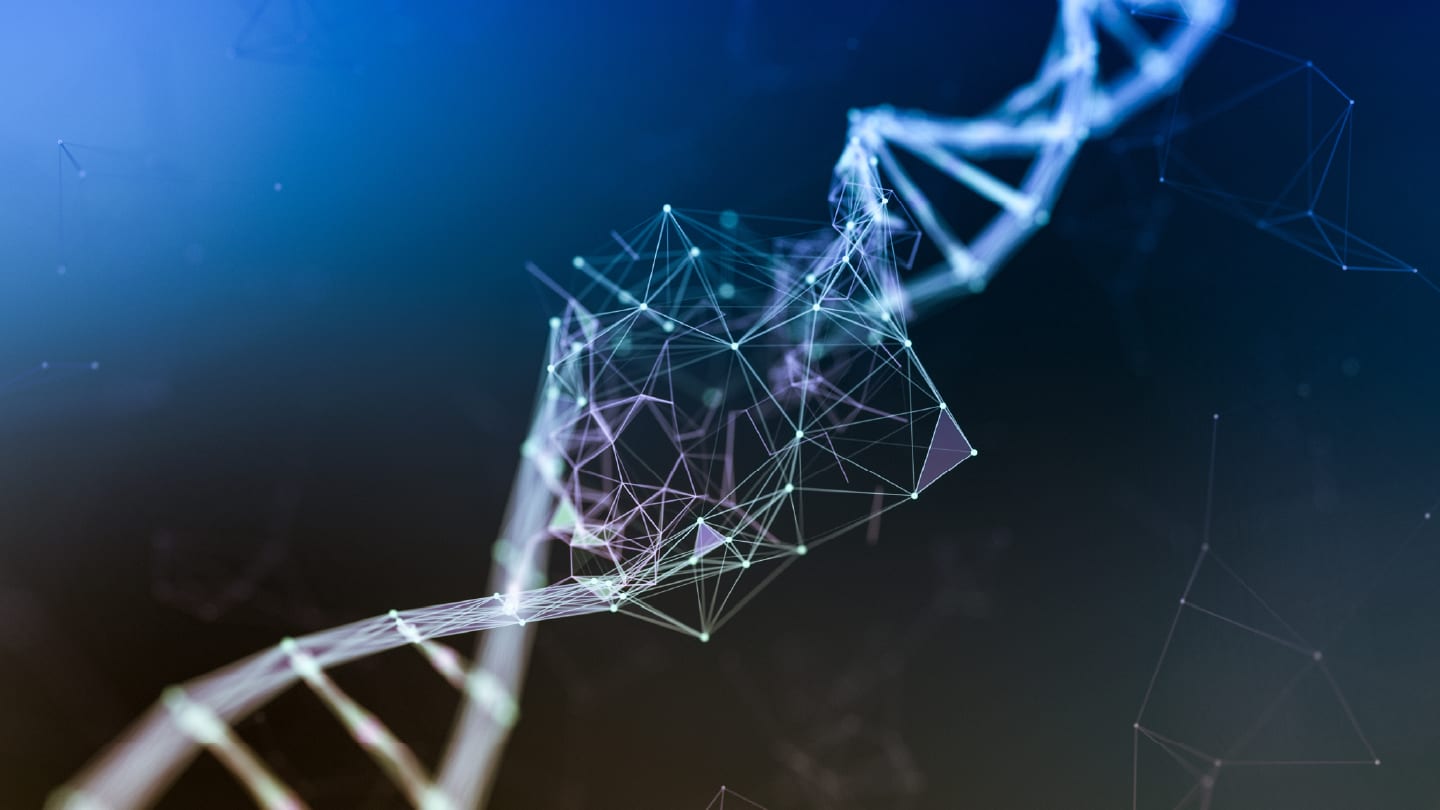 Mapping the Genome in 4D