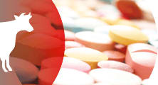 Antimicrobial Trends and Risks
