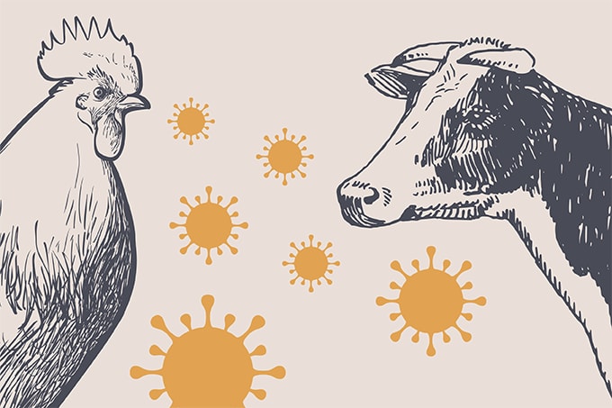 A Heightened Zoonotic Threat?