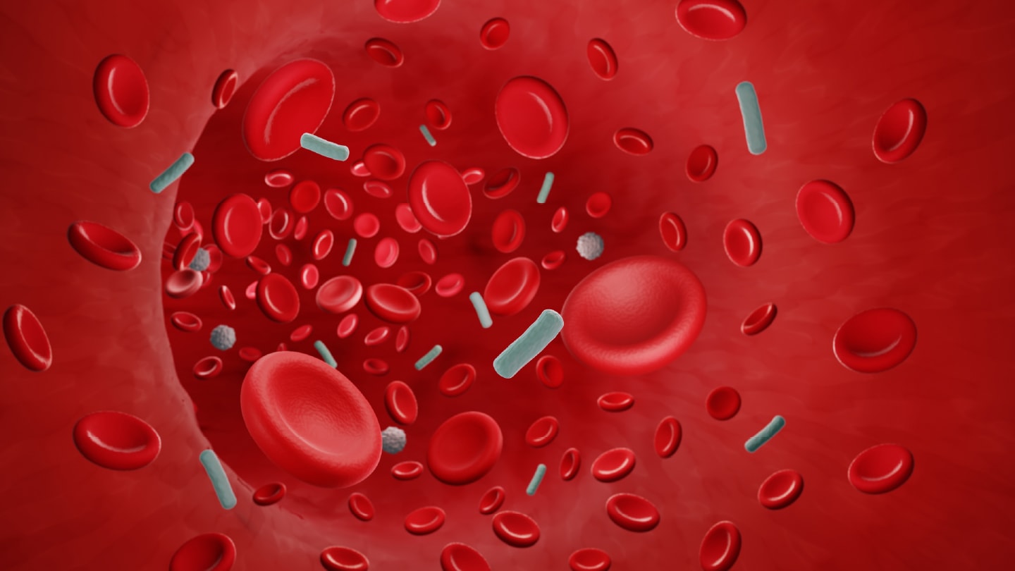 Bloodstream Infection Results in Hours
