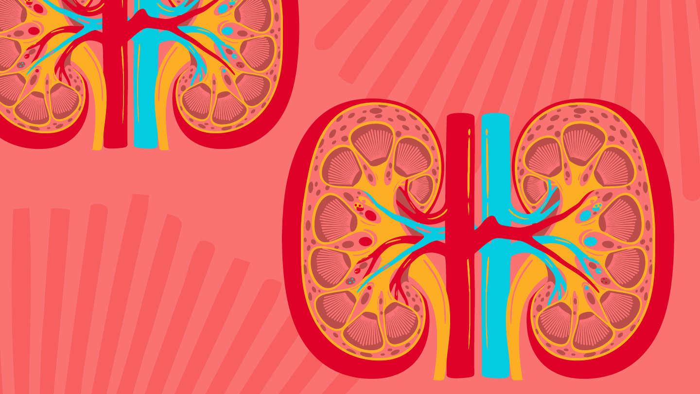 Vascular Aging in Chronic Kidney Disease New Insights