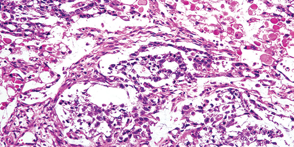 Case of the Month (3)