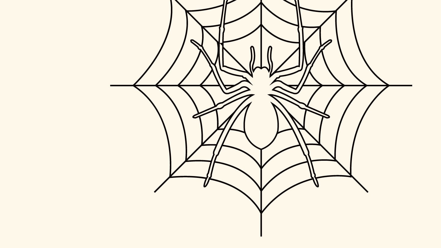 The Molecular Secret to Spider Silks Strength