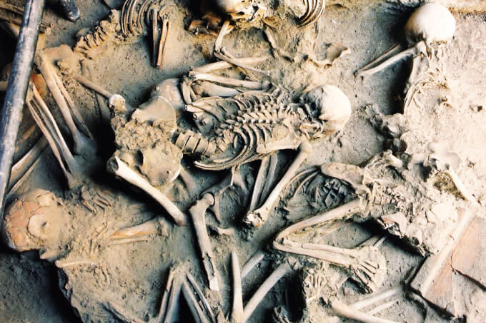 Stories of the Dead