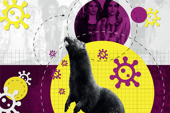 Virus in Furs
