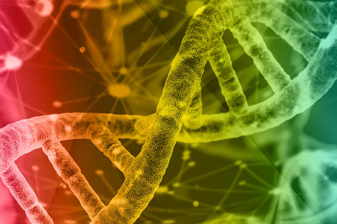 Getting to the Genetic Core of Autism