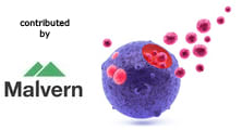 Exosomes and Microvesicles: An introduction