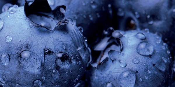 Global experts discuss What the Trends, Challenges and Techniques are used for Pesticide Analysis?
