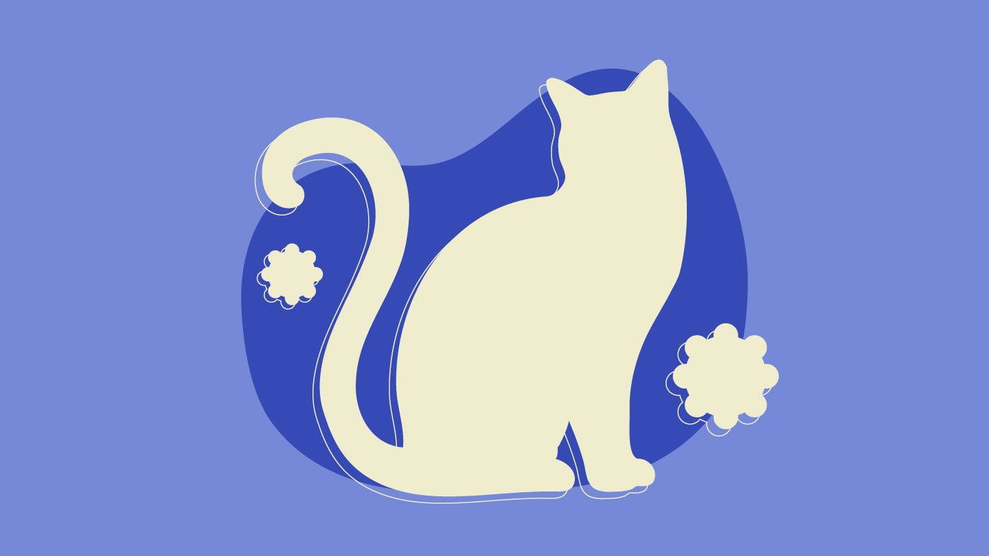 What Cats Can Tell Us About Cancer