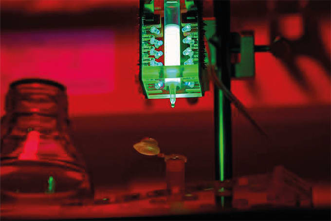Lighting Up Protein Purification