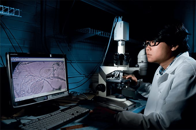 Research Roundup