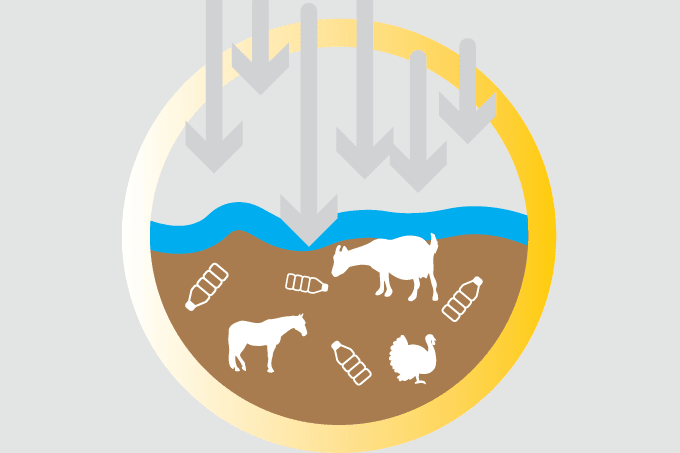 Microplastics: Concern Accumulates
