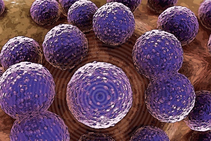 Spreading the Word: Molecular Diagnostics for Infectious Disease