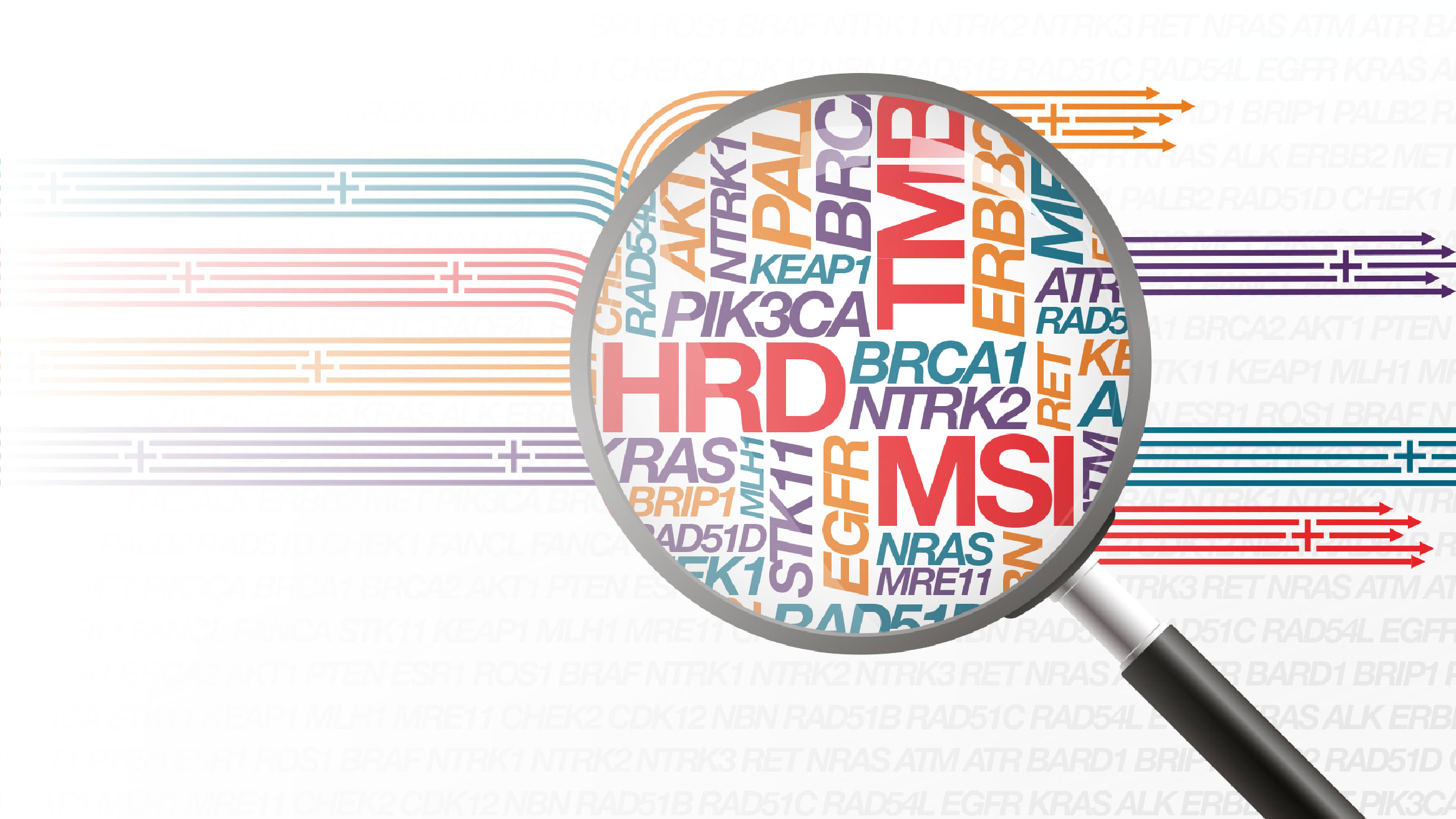 Setting a new standard: discover next-day CGP with Oncomine Comprehensive Assay Plus on the Genexus System