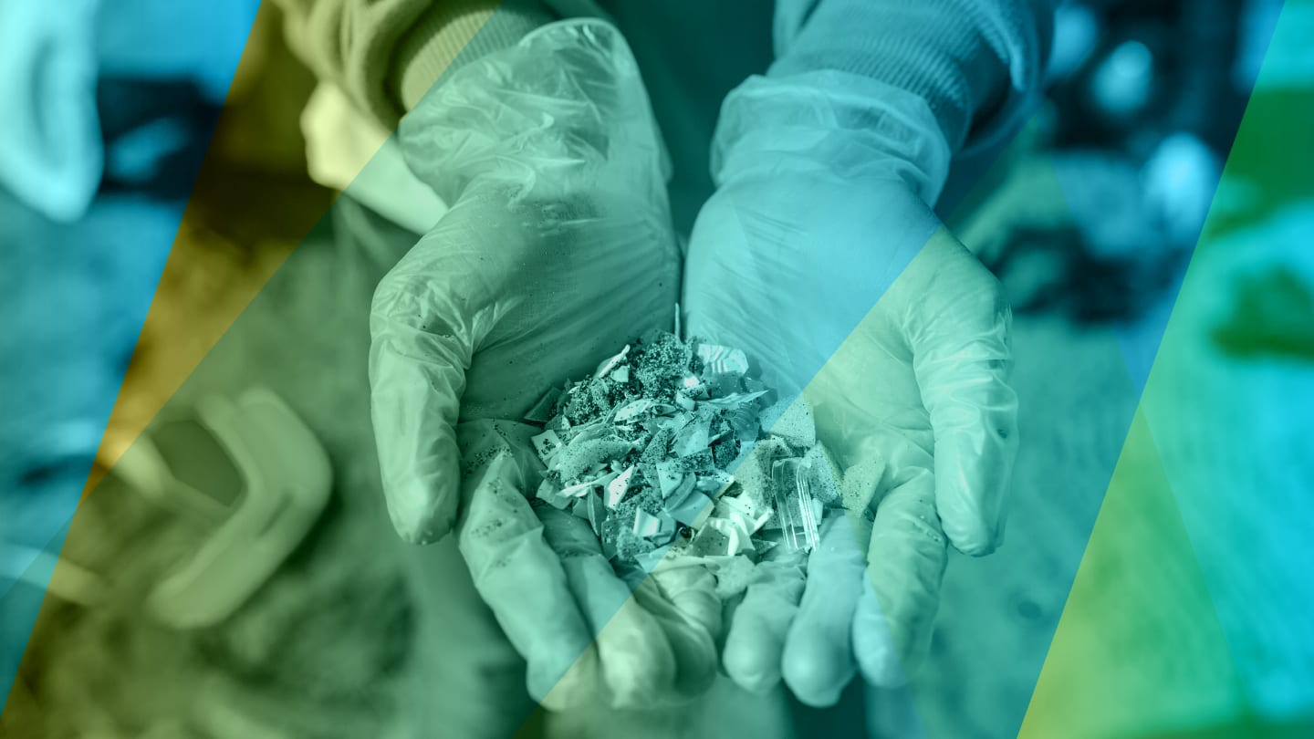 Portable NIR and Chemometrics Advance Precision Forestry