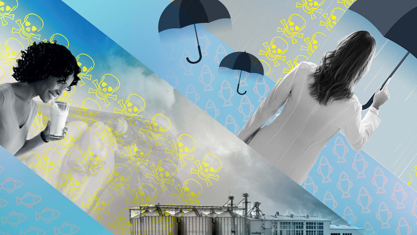 PFAS Testing in Food: From Storm Clouds to Steady Results 