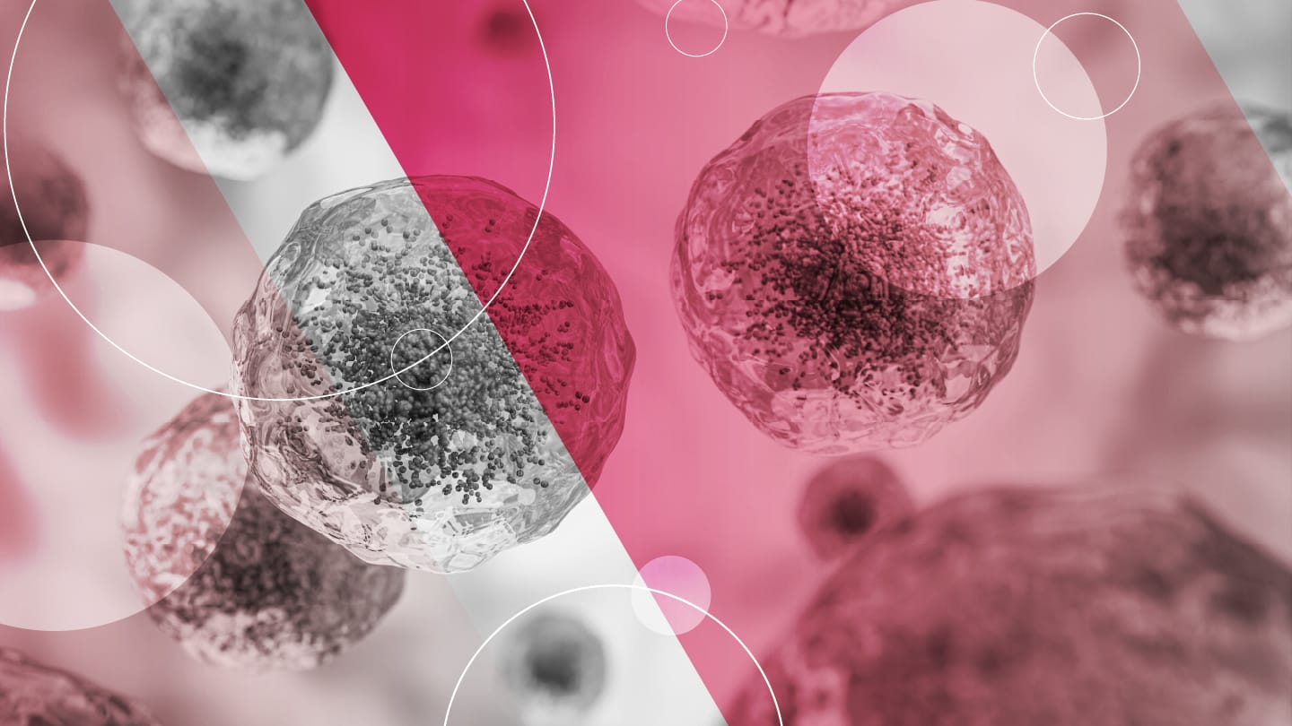 Refining SingleCell Metabolomics with Ion Mobility