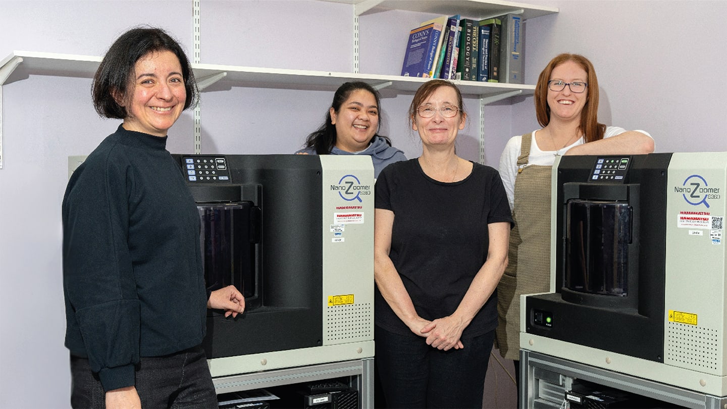 Digital Pathology in Action