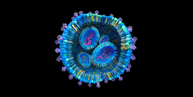 High-throughput analysis of lipid nanoparticles using a miniaturized AF4 channel