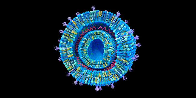 Quantitative multi-attribute analysis of mRNA-nanoparticles by AF4 coupled with SAXS