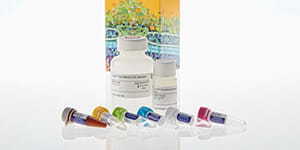Rapid, Scalable SARS-CoV-2 Antibody Test with Reliable Results