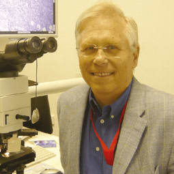 Harald Stein