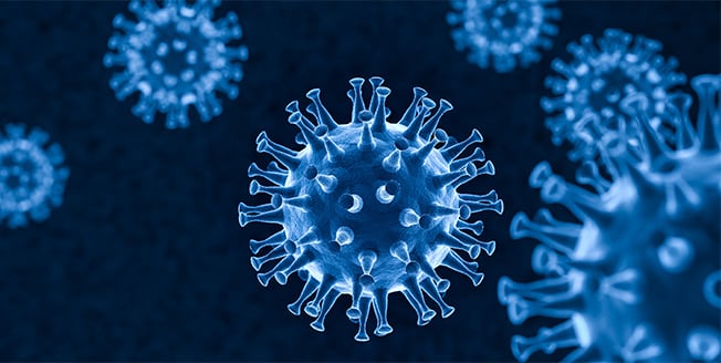 Analysis of an adeno-associated virus by Asymmetrical Flow Field-Flow Fractionation
