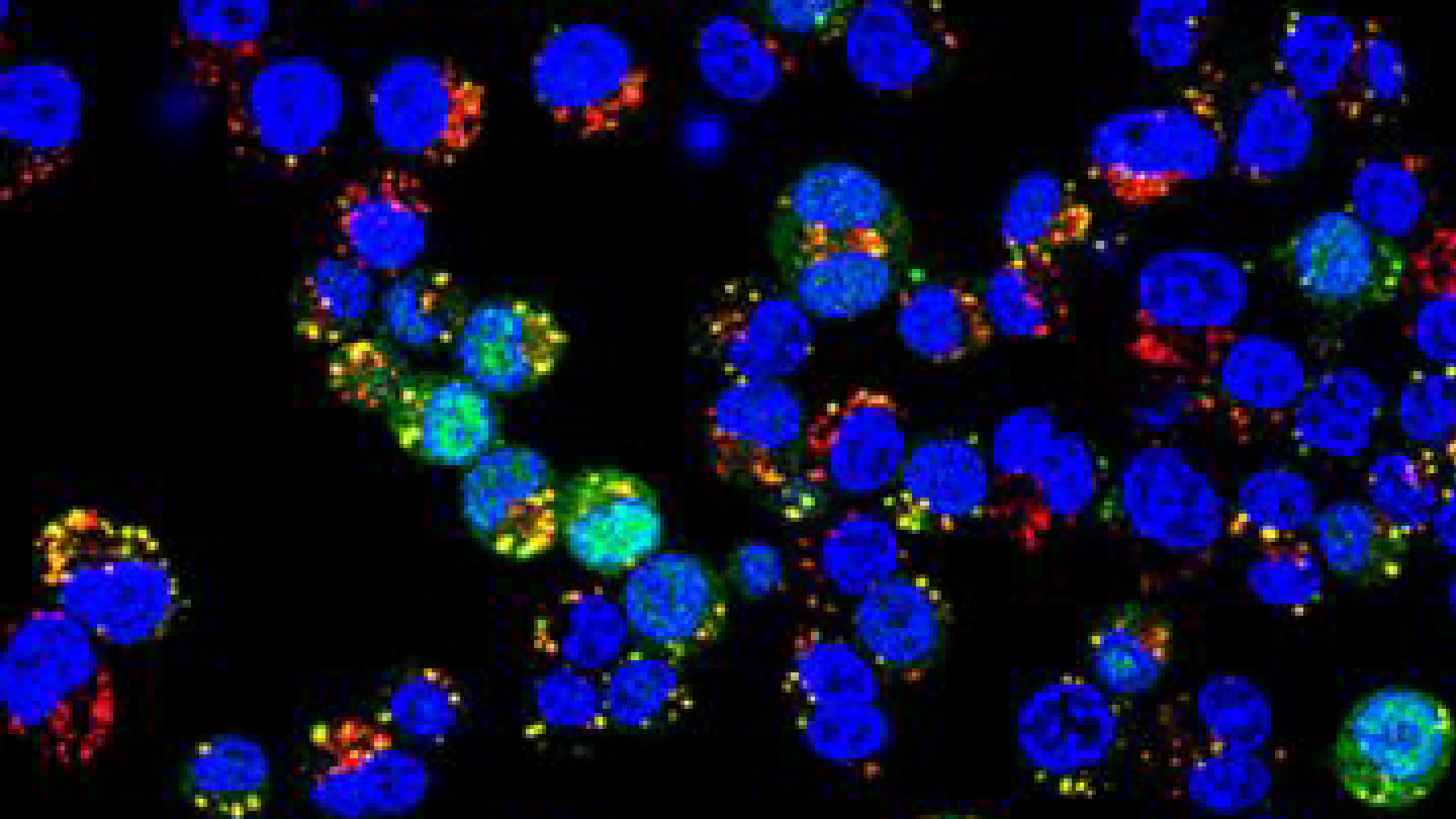 A Non-Complex, Non-Toxic Method of Delivering Biologic Therapies