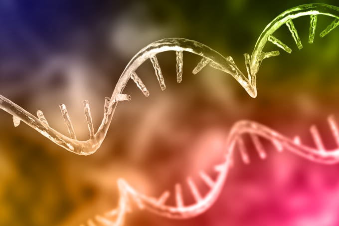 Optimizing mRNA Sequence Design