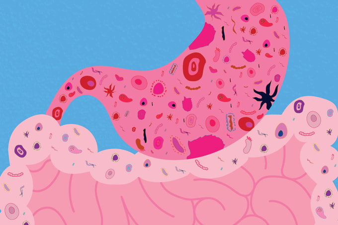 Meet the Microbiome Matchmaker